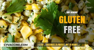 Is Hominy Gluten-Free? A Complete Guide for Celiac Diets
