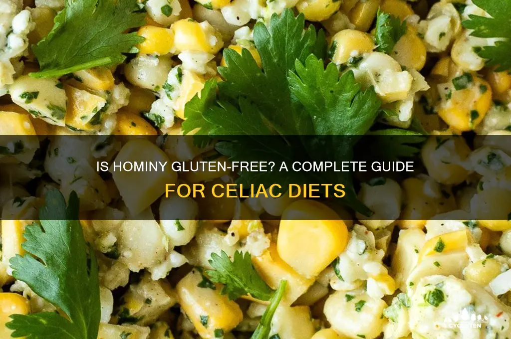 are hominy gluten free