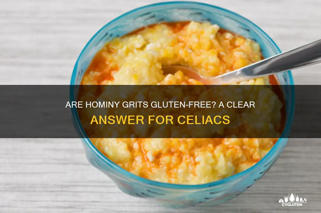 are hominy grits gluten free