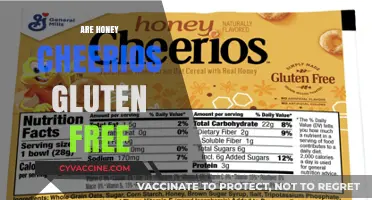 Are Honey Cheerios Gluten-Free? A Comprehensive Guide for Celiacs
