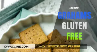 Are Honey Grahams Gluten-Free? A Comprehensive Guide for Celiacs