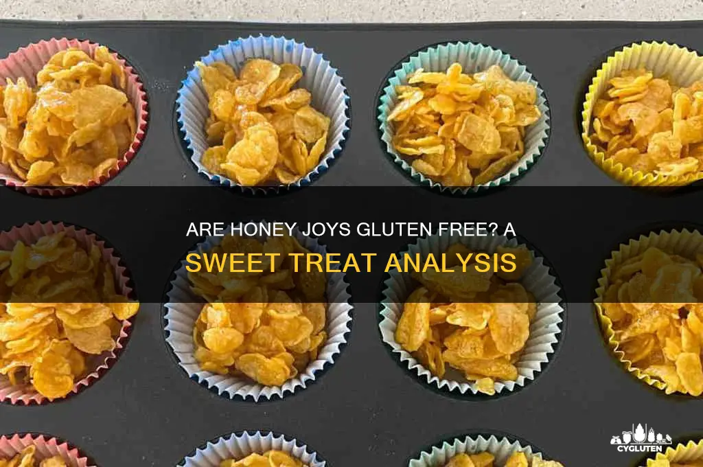 are honey joys gluten free