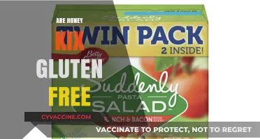 Are Honey Kix Gluten-Free? A Complete Guide for Celiac Diets