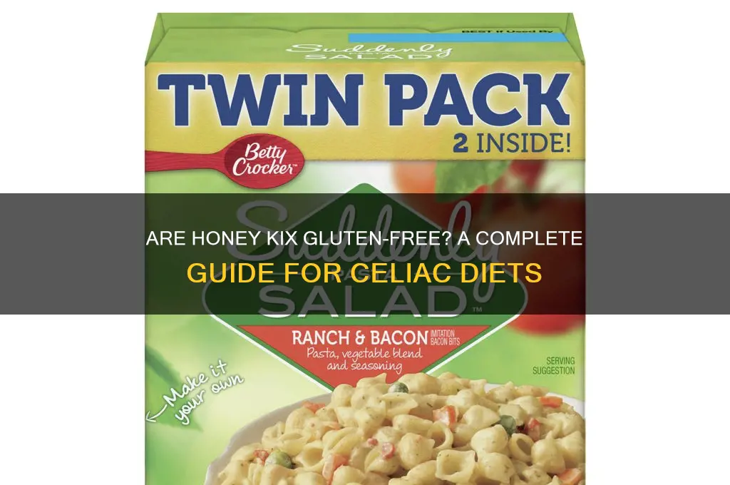 are honey kix gluten free