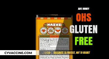 Are Honey Ohs Gluten-Free? A Complete Guide for Celiac Diets