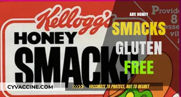 Are Honey Smacks Gluten-Free? A Comprehensive Guide to Your Breakfast Choice