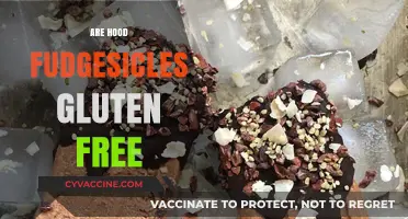 Are Hood Fudgesicles Gluten-Free? A Sweet Treat Investigation
