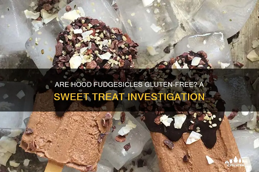 are hood fudgesicles gluten free