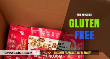 Are Hoodsies Gluten Free? A Complete Guide to Ingredients and Safety