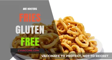 Are Hooters Fries Gluten-Free? A Complete Guide for Celiac Diners