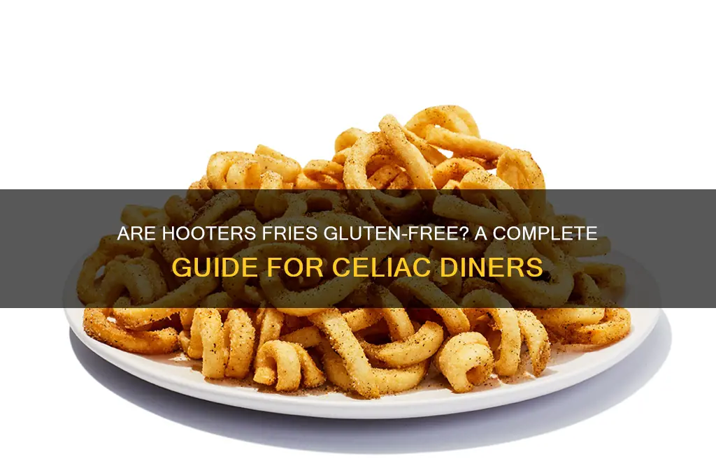 are hooters fries gluten free