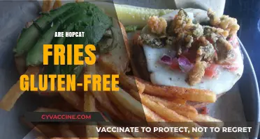 Are HopCat Fries Gluten-Free? A Complete Guide for Celiac Diners