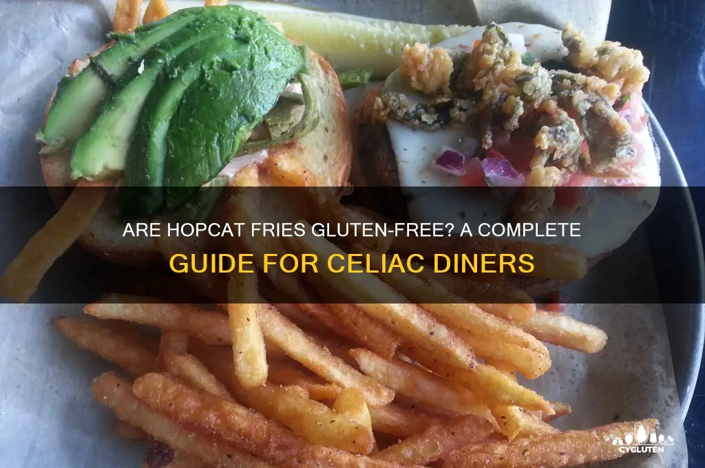 are hopcat fries gluten-free