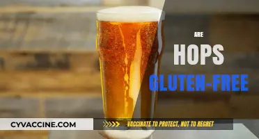 Are Hops Gluten-Free? Unraveling the Truth for Beer Lovers