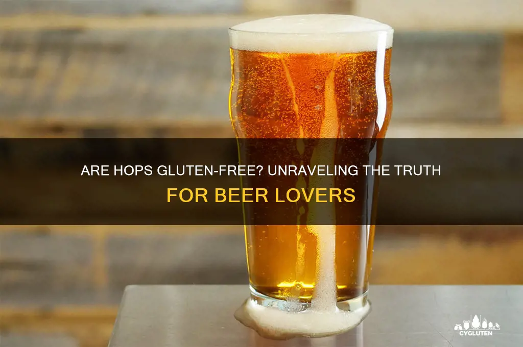 are hops gluten-free