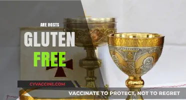Are Hosts Gluten Free? Exploring Ingredients and Safe Options