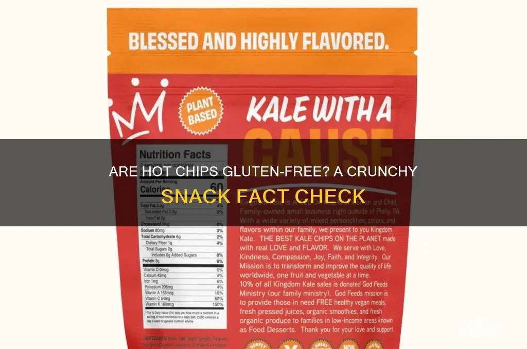 are hot chips gluten free