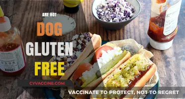 Are Hot Dogs Gluten-Free? A Complete Guide for Celiac Eaters