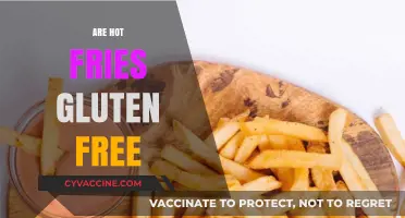 Are Hot Fries Gluten-Free? A Crunchy Snack Fact Check