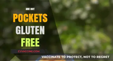 Are Hot Pockets Gluten-Free? A Complete Guide to Your Favorite Snack