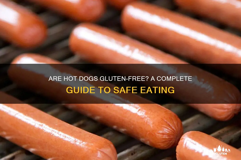 are hotdog