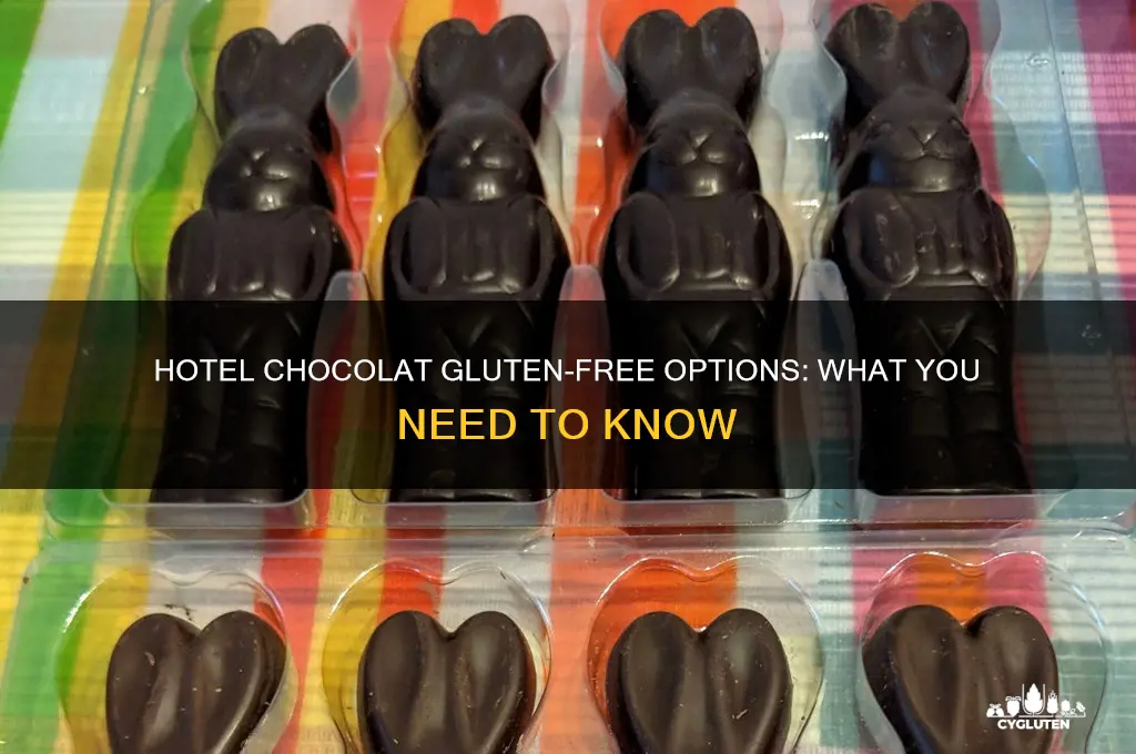 are hotel chocolat gluten free