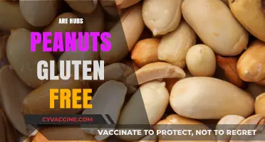 Are Hubs Peanuts Gluten-Free? A Comprehensive Guide for Snackers