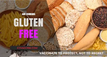 Are Humans Naturally Gluten-Free? Exploring Our Dietary Relationship