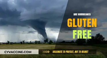 Are Hurricanes Gluten-Free? Unraveling the Stormy Science Behind the Myth