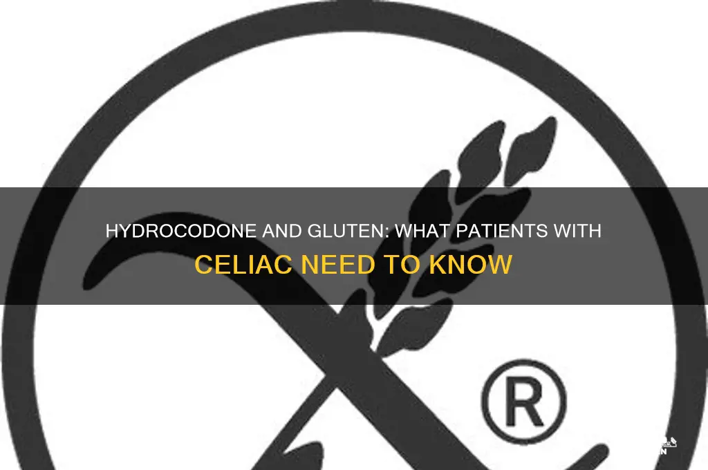 are hydrocodone gluten free