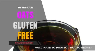 Are Hydrolyzed Oats Gluten-Free? Unraveling the Truth for Celiacs