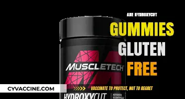 Are Hydroxycut Gummies Gluten-Free? A Complete Dietary Guide