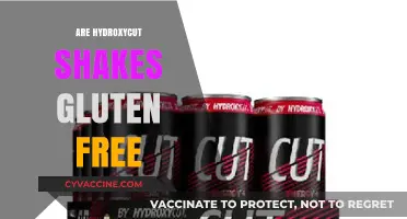 Hydroxycut Shakes: Gluten-Free or Not? A Complete Guide