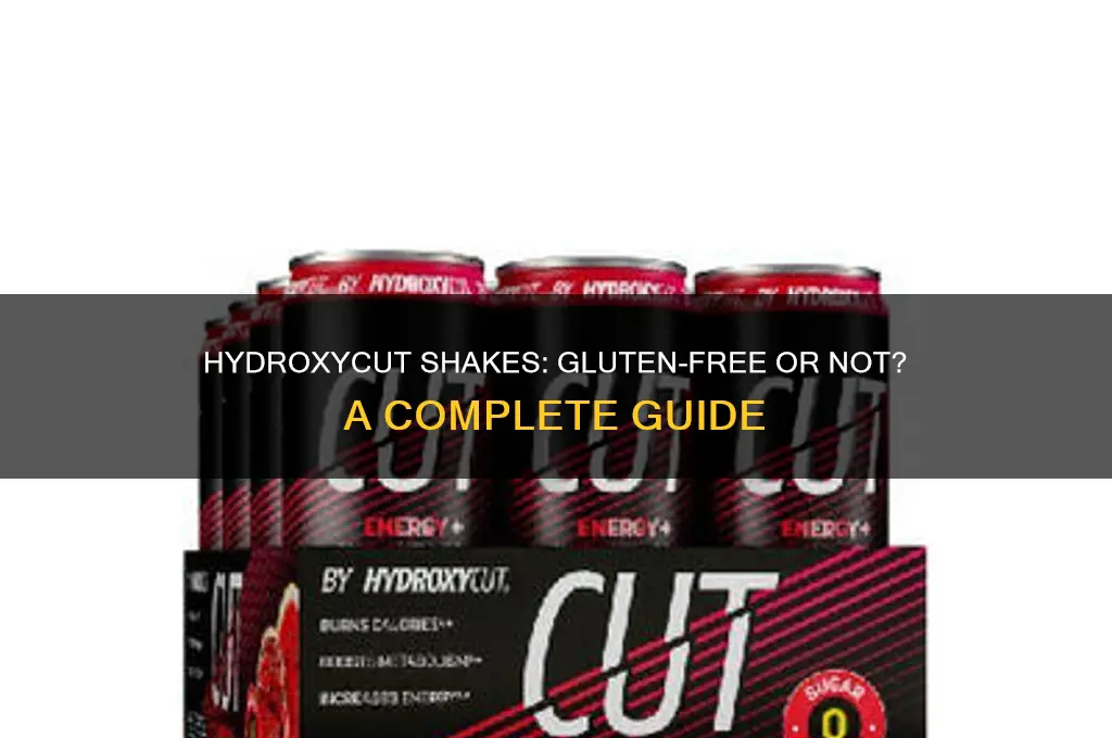 are hydroxycut shakes gluten free