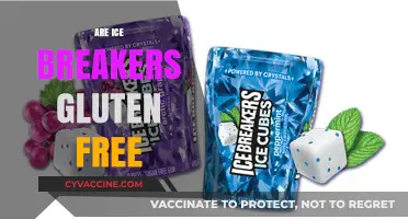 Are Ice Breakers Gluten Free? A Complete Guide to Ingredients