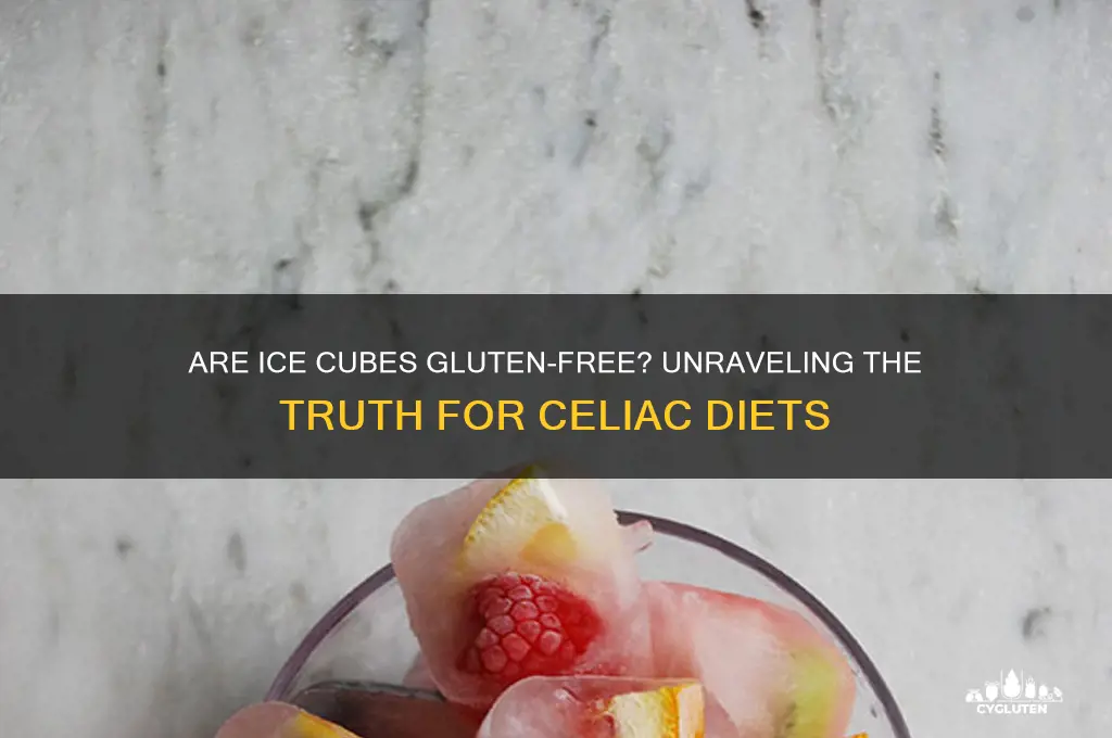 are ice cubes gluten free