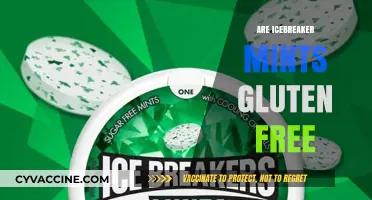 Are Icebreaker Mints Gluten-Free? A Complete Guide for Consumers