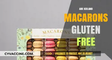 Iceland Macarons: Gluten-Free Treats or Hidden Wheat Surprise?