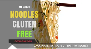 Are Ichiban Noodles Gluten-Free? A Complete Guide for Celiac Diets