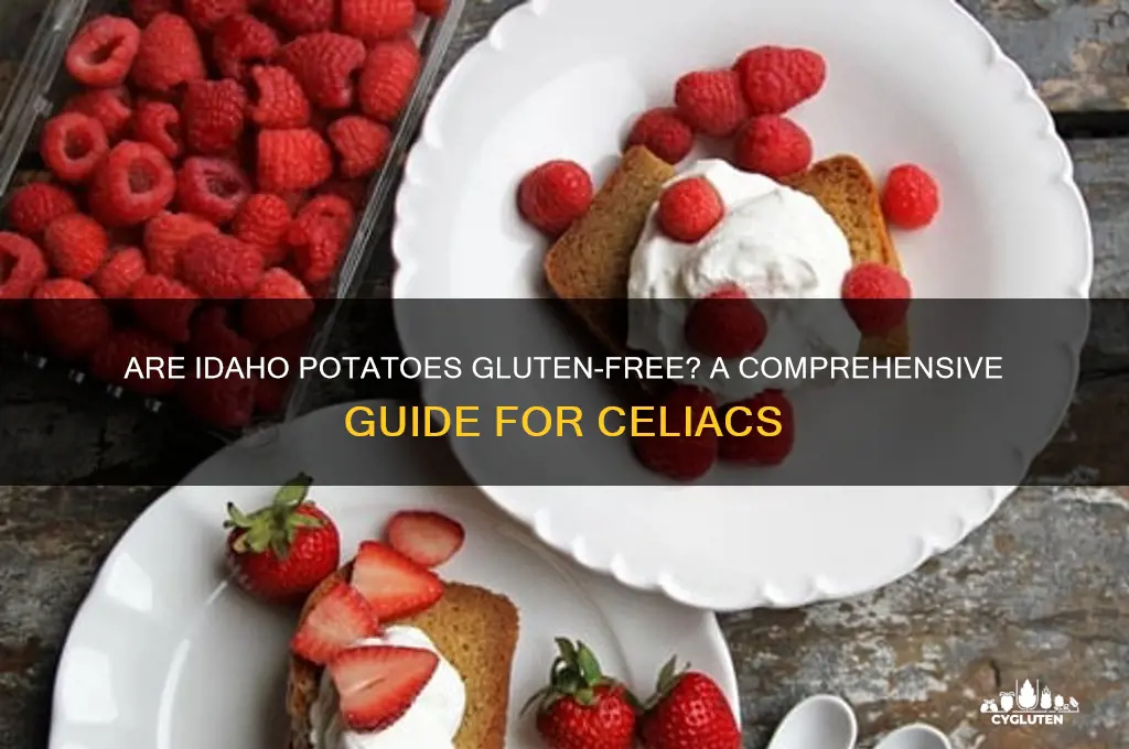 are idaho potatoes gluten free