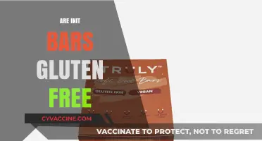 Are Init Bars Gluten-Free? Discover the Truth About Their Ingredients