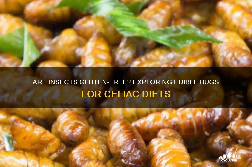 are insects gluten free
