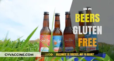 Are IPA Beers Gluten-Free? Exploring Craft Beer Options for Celiacs