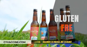 Are IPAs Gluten-Free? Unraveling the Truth for Beer Lovers
