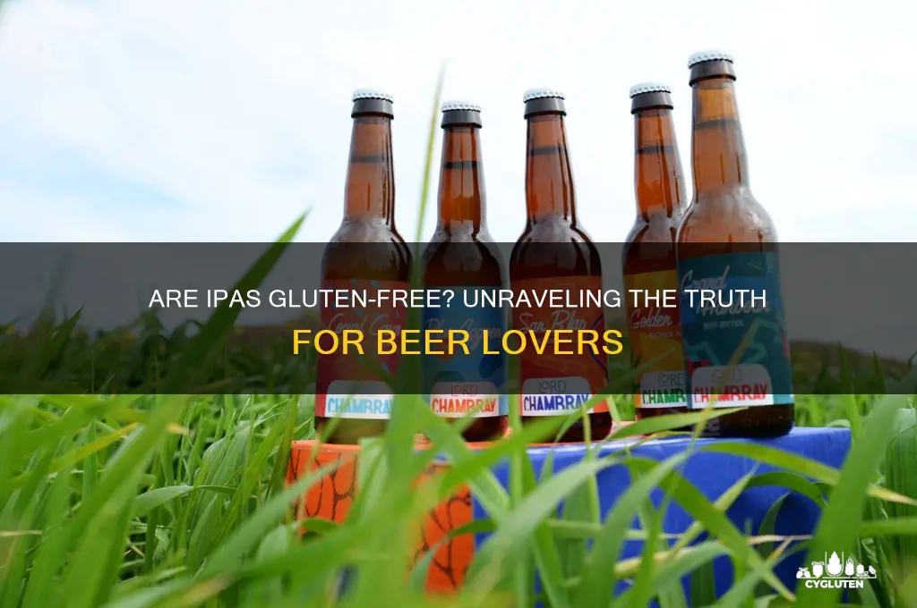 are ipa gluten fre