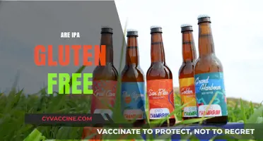 Are IPAs Gluten-Free? Unraveling the Truth for Beer Lovers