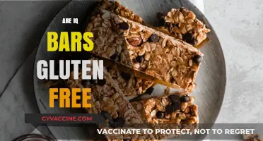Are IQ Bars Gluten-Free? A Complete Guide to Ingredients