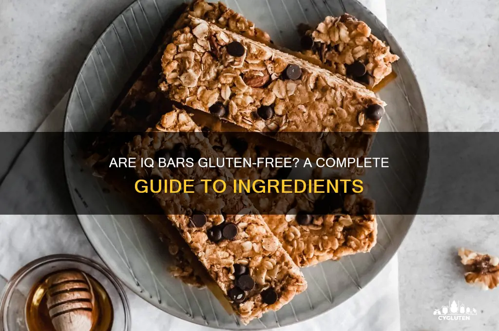 are iq bars gluten free