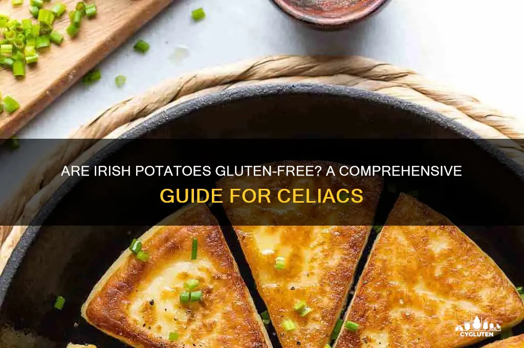 are irish potatoes gluten free