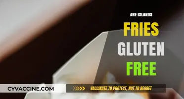 Are Island Fries Gluten-Free? A Tasty Truth Revealed
